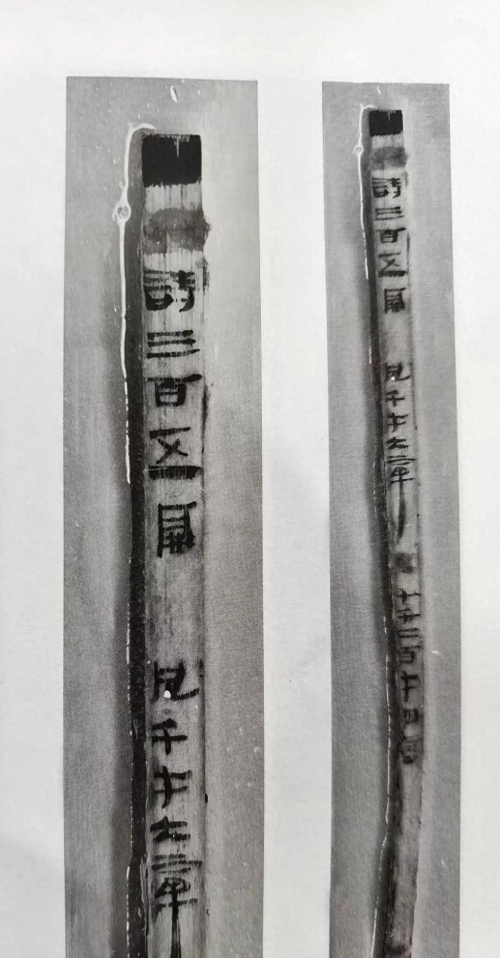 吃瓜网t7wcc：海昏简诗经改写历史：西汉中期诗经已定型，比熹平石经早200年