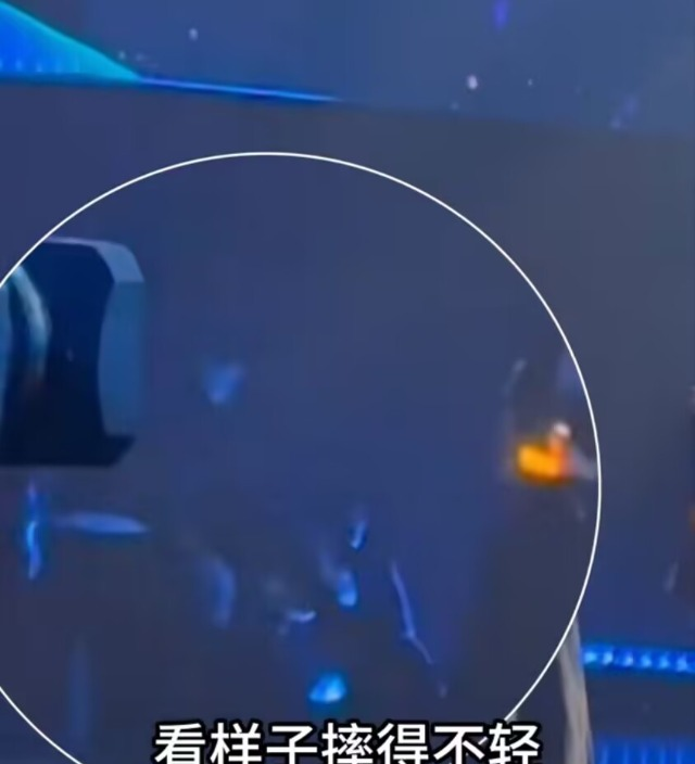 章子怡摔鞋是什么节目__章子怡拍戏摔倒