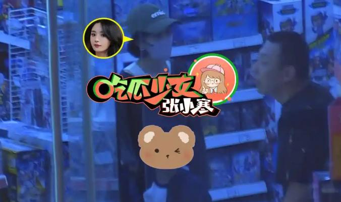 赵丽颖同款玩具_赵丽颖坐购物车_