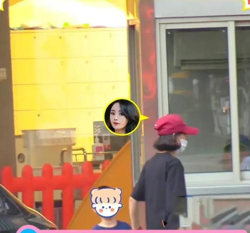 _赵丽颖同款玩具_赵丽颖坐购物车