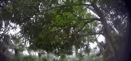 祭祀纪录片__祭祀恐怖电影在线观看