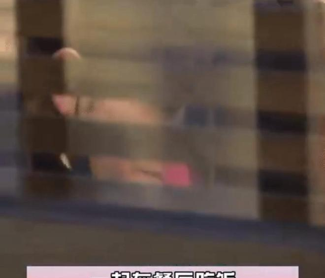 陈坤带双胞胎男孩外出用餐，饭后牵手上车返程，“摸头杀”好温柔_陈坤带双胞胎男孩外出用餐，饭后牵手上车返程，“摸头杀”好温柔_